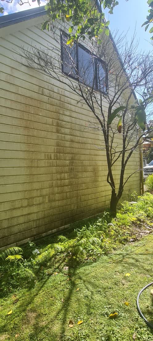 An Auckland home with green algae on the cladding before washing